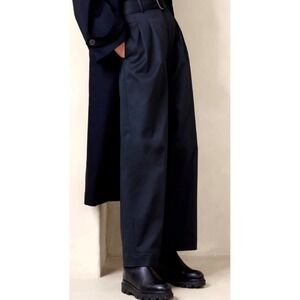 Banana Republic | 2024 Cruz Pleated Wide Leg Belted Trousers Chino Pants Siez 4